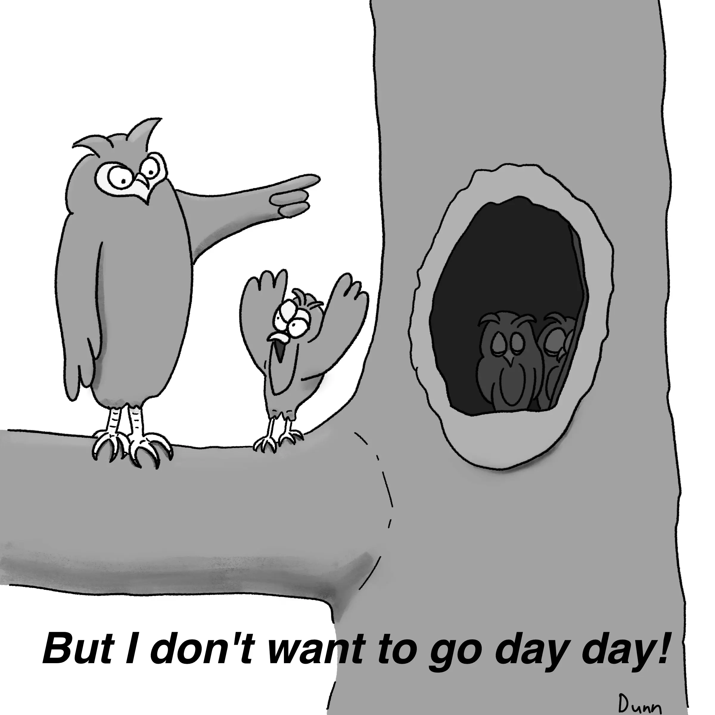 image from Ready or Not