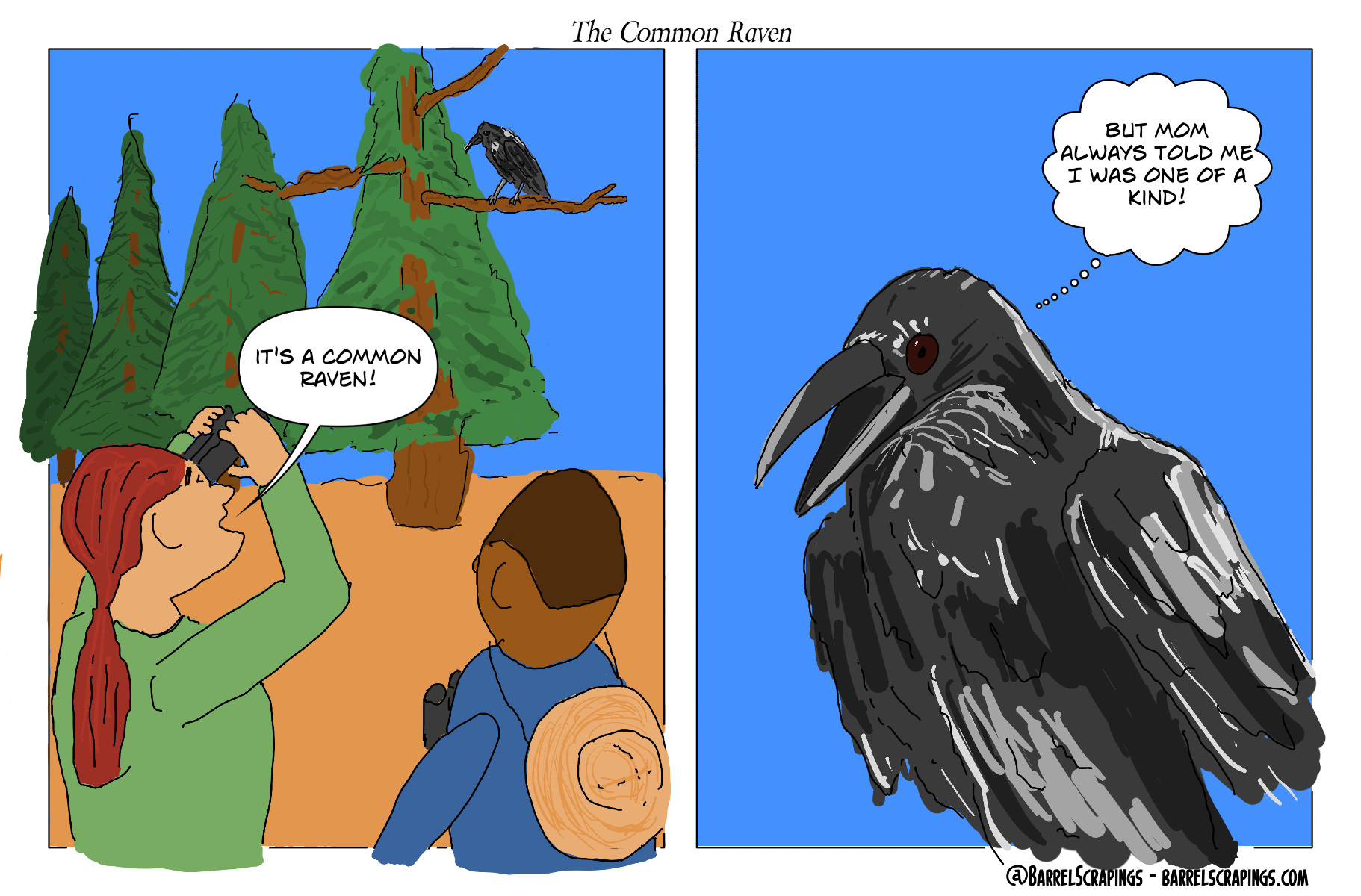 image from The Common Raven